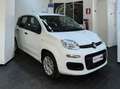 Fiat Panda Panda III 1.2 Lounge S Bianco - thumbnail 2