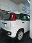 Fiat Panda Panda III 1.2 Lounge S Bianco - thumbnail 8