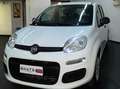 Fiat Panda Panda III 1.2 Lounge S Bianco - thumbnail 4