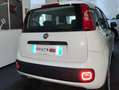 Fiat Panda Panda III 1.2 Lounge S Bianco - thumbnail 7