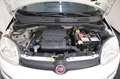 Fiat Panda Panda III 1.2 Lounge S Bianco - thumbnail 13
