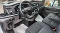 Ford Transit 350 L4 H3 jumbo 2.0 tdci cv 170 Targa GG575JY Bianco - thumbnail 12