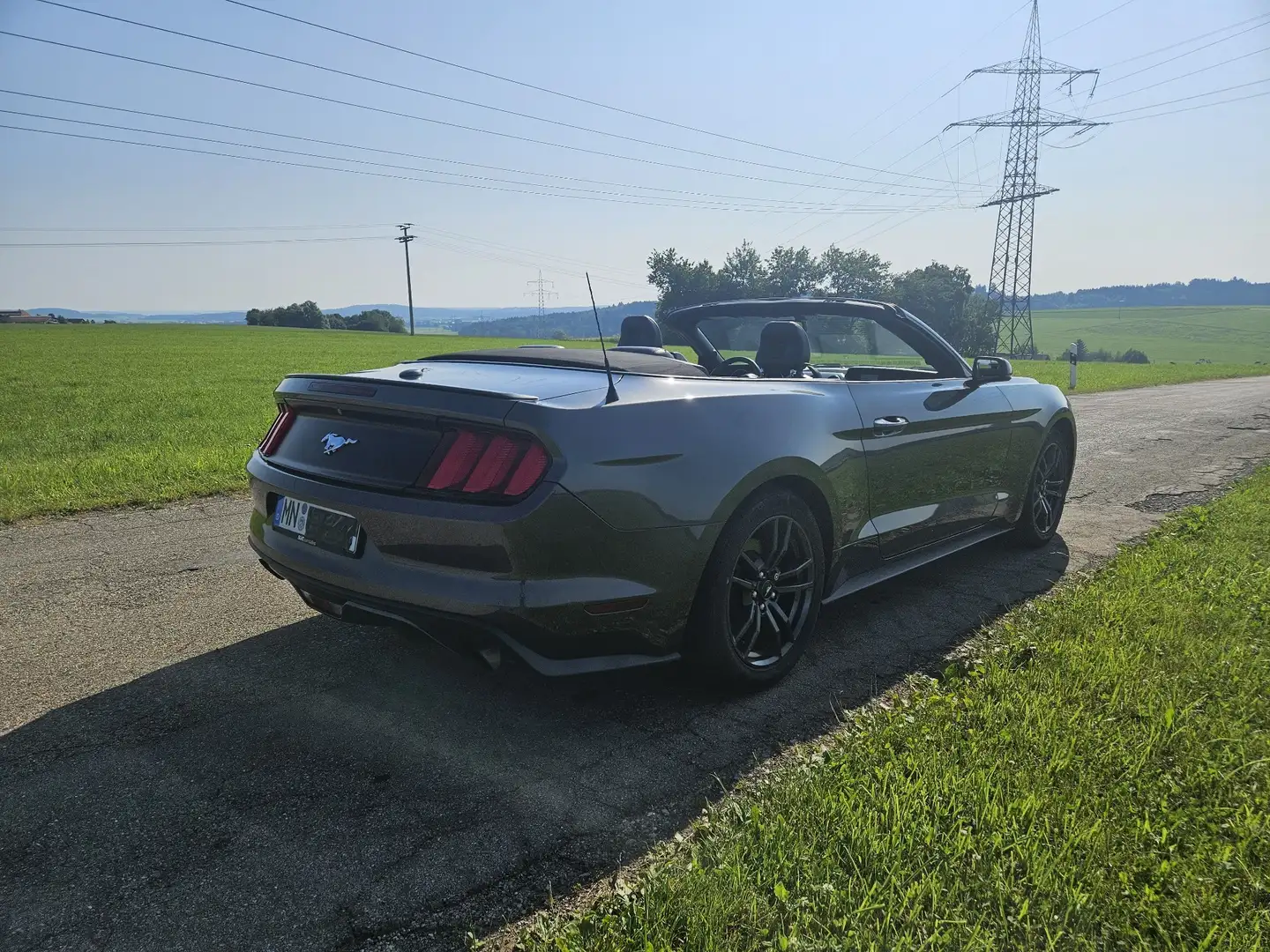 Ford Mustang Mustang Cabrio 2.3 Eco Boost Grau - 2