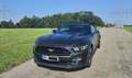 Ford Mustang Mustang Cabrio 2.3 Eco Boost Grau - thumbnail 7