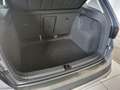 SEAT Ateca Ateca  2.0 tdi Business 150cv dsg Gris - thumbnail 13