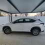 Lexus NX 300h NX 300h Business 2WD Business Blanco - thumbnail 5