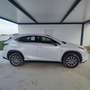 Lexus NX 300h NX 300h Business 2WD Business Blanco - thumbnail 7