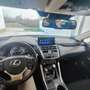Lexus NX 300h NX 300h Business 2WD Business Blanco - thumbnail 3