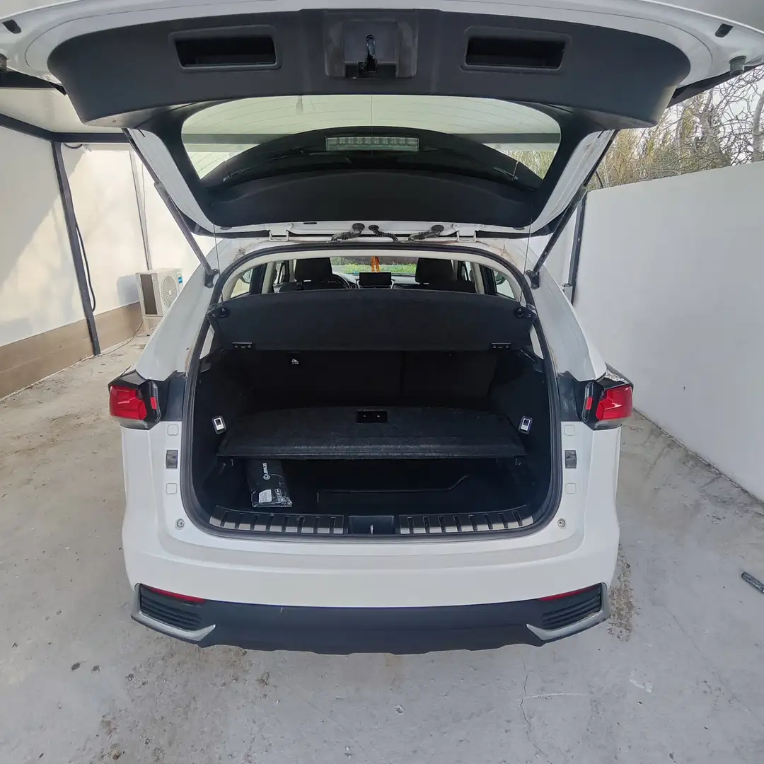Lexus NX 300h NX 300h Business 2WD Business Blanco - 1