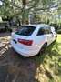 Audi A6 Avant 3,0 TDI quattro DPF S-tronic - thumbnail 10