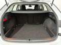 Skoda Octavia Com. 2.0 TDI Ambition DSG *AHK*LED*ACC* Weiß - thumbnail 15