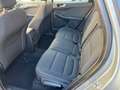 Ford Kuga 1.5 EcoBlue 120 CV 2WD Titanium Business Grigio - thumbnail 8