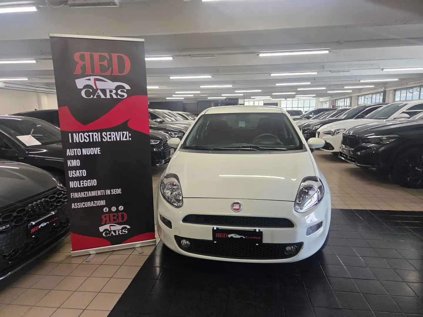 Fiat Punto 5p 1.2 Street Wit - 1