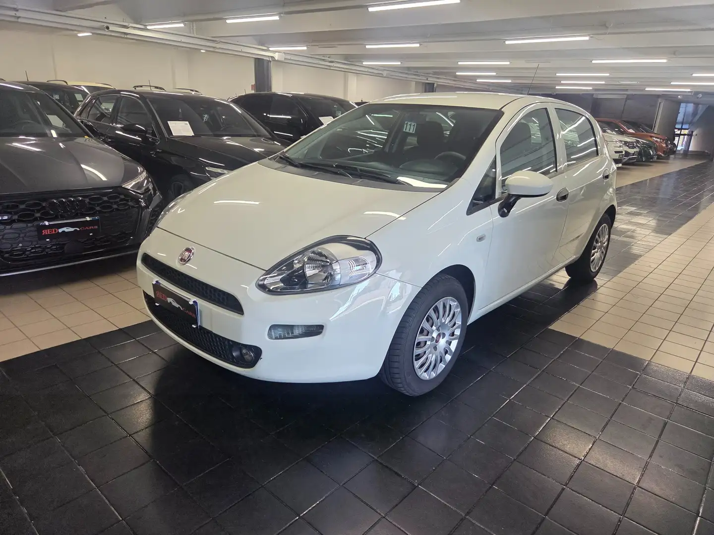 Fiat Punto 5p 1.2 Street Wit - 2