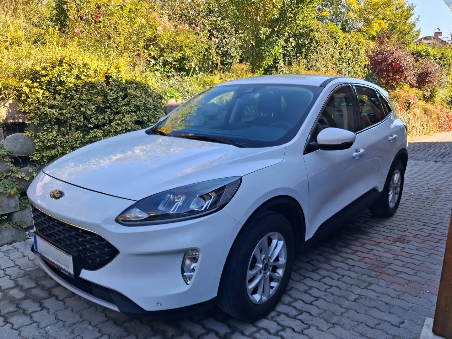 Ford Kuga Kuga 1,5 EcoBoost ST-Line ST-Line Weiß - 1