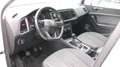 SEAT Ateca 2.0 tdi Business 150cv Bianco - thumbnail 5