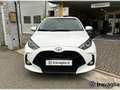 Toyota Yaris Yaris 1.0 Business Bianco - thumbnail 2