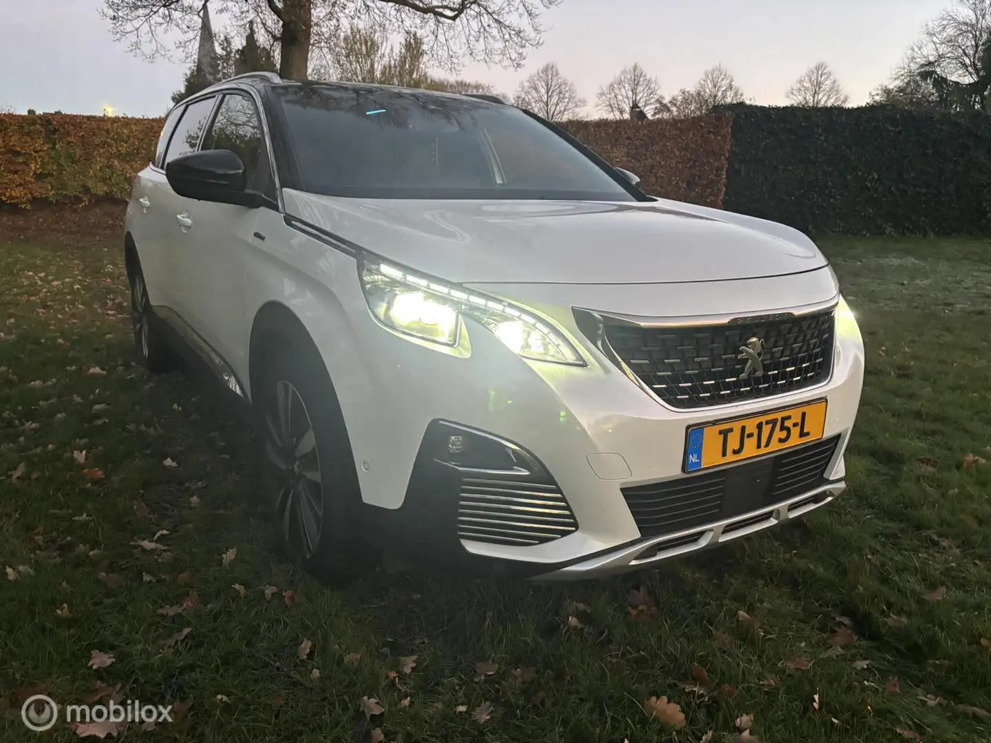 Peugeot 5008 1.2 PureTech Blue Lease GT-Line 7 Persoon Veel opt Wit - 2