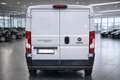 Fiat Ducato Ducato 30 L2H1 150 Panorama Panorama - thumbnail 2