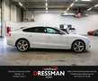 Audi A5 2.0TDI SPORTBACK S-LINE XENON SCHIEBEDACH B&O Weiß - thumbnail 4