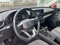SEAT Leon ST 2.0TDI CR S&S Style XS 115 Rot - thumbnail 8