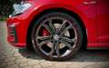 Volkswagen Golf GTI Golf VII 5p 2.0 tsi Performance 245cv dsg Rosso - thumbnail 8