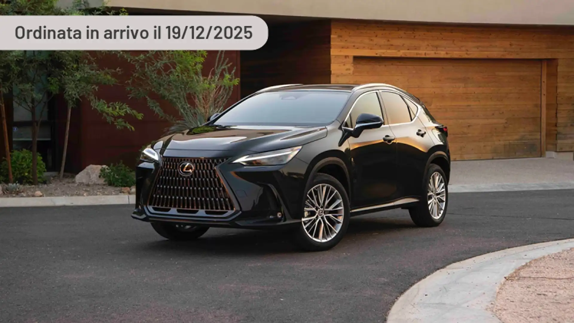 Lexus NX 450h+ Plug-in 4WD Premium + Argento - 1