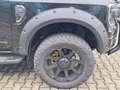 Ford Ranger Platinum 3,0d UMBAU Tech73 Rollo Stdhz Lager Nero - thumbnail 12