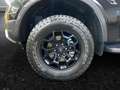 Ford Ranger 2,0L **TREMOR** mit Rollo u. Standheizung Schwarz - thumbnail 14