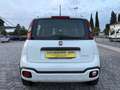 Fiat Panda Cross 1.0 FireFly S&S Hybrid NEOPATENTATI / PREZZO Blanco - thumbnail 7