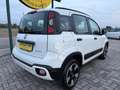 Fiat Panda Cross 1.0 FireFly S&S Hybrid NEOPATENTATI / PREZZO Blanco - thumbnail 5