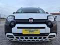Fiat Panda Cross 1.0 FireFly S&S Hybrid NEOPATENTATI / PREZZO Blanco - thumbnail 2