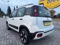 Fiat Panda Cross 1.0 FireFly S&S Hybrid NEOPATENTATI / PREZZO Blanco - thumbnail 6