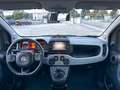 Fiat Panda Cross 1.0 FireFly S&S Hybrid NEOPATENTATI / PREZZO Blanco - thumbnail 13