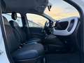 Fiat Panda Cross 1.0 FireFly S&S Hybrid NEOPATENTATI / PREZZO Blanco - thumbnail 11