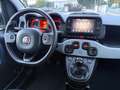 Fiat Panda Cross 1.0 FireFly S&S Hybrid NEOPATENTATI / PREZZO Blanco - thumbnail 14