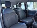 Fiat Panda Cross 1.0 FireFly S&S Hybrid NEOPATENTATI / PREZZO Blanco - thumbnail 12