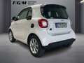 smart forTwo Coupe Passion Sitzhz|Klimaa|Tempomat Blanc - thumbnail 2