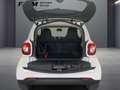 smart forTwo Coupe Passion Sitzhz|Klimaa|Tempomat Blanc - thumbnail 5