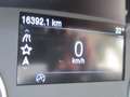 Ford EcoSport Cool & Connect Blau - thumbnail 9