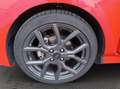 Ford Fiesta 5p 1.0 ecoboost h ST-Line 125cv Rosso - thumbnail 13