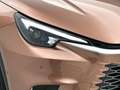 Lexus LBX Cool 2WD | Advanced Pack | Mark Levinson Audio | D Braun - thumbnail 50