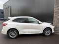 Ford Kuga 2.5 FHEV 190pk Vignale Panorama, Camera's, Navi, W Blanc - thumbnail 7