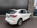 Ford Kuga 2.5 FHEV 190pk Vignale Panorama, Camera's, Navi, W Blanc - thumbnail 6