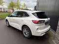 Ford Kuga 2.5 FHEV 190pk Vignale Panorama, Camera's, Navi, W Blanc - thumbnail 4