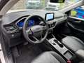 Ford Kuga 2.5 FHEV 190pk Vignale Panorama, Camera's, Navi, W Blanc - thumbnail 8