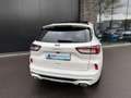 Ford Kuga 2.5 FHEV 190pk Vignale Panorama, Camera's, Navi, W Blanc - thumbnail 5