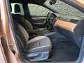 SEAT Ibiza 1.0 ECO TSI Xcellence Gold - thumbnail 37