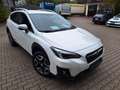 Subaru XV 2.0i Comfort Lineartronic 4WD. 1.HD Weiß - thumbnail 1
