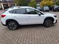 Subaru XV 2.0i Comfort Lineartronic 4WD. 1.HD Weiß - thumbnail 12